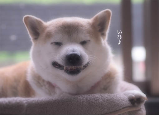 2日ブログ9.jpg