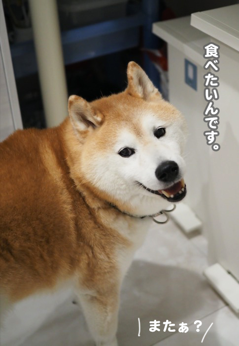 10日夕ブログ５