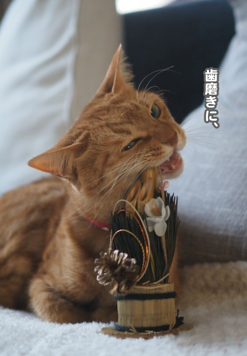 8日ブログ３