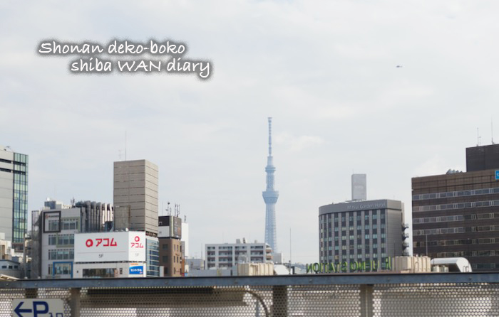 22日夕ブログ７