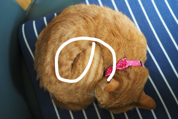 19日ブログ２