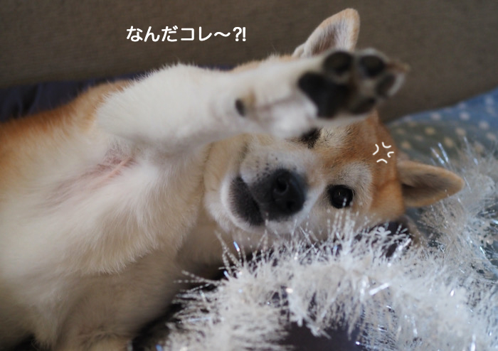 18日夜ブログ４