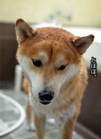 3日ブログ4.jpg