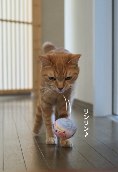 ３１日夕ブログ３