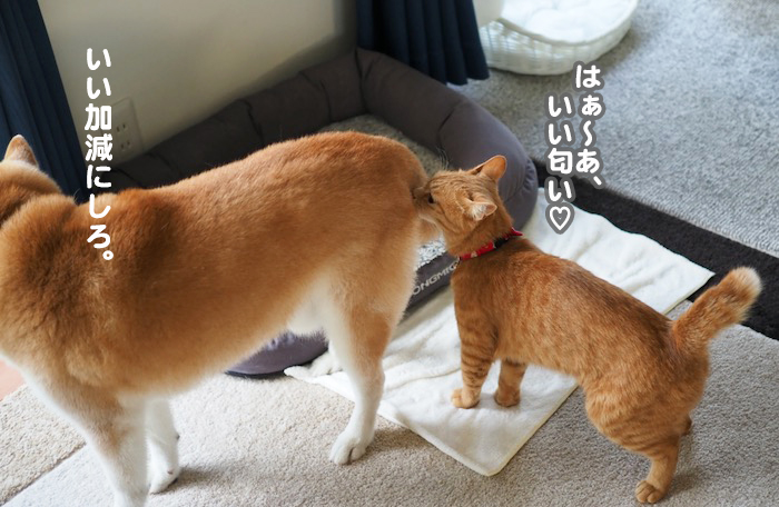 10日夕ブログ6