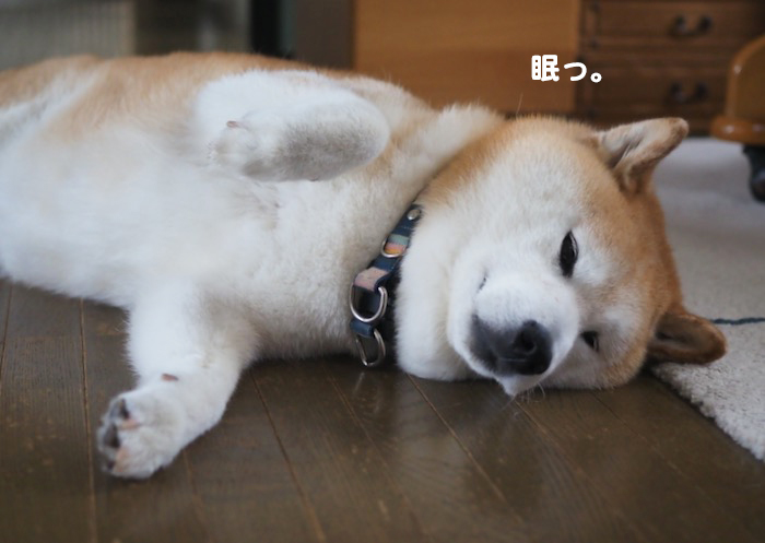 7日夕ブログ2