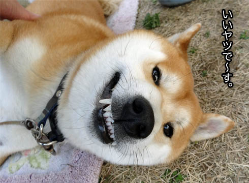 13日ブログ12.jpg