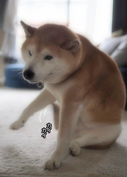28日夜ブログ４