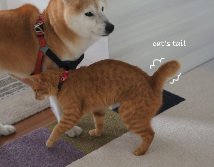 12日ブログ４