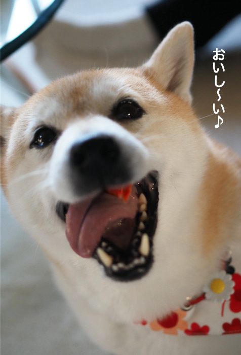 4日夕ブログ６