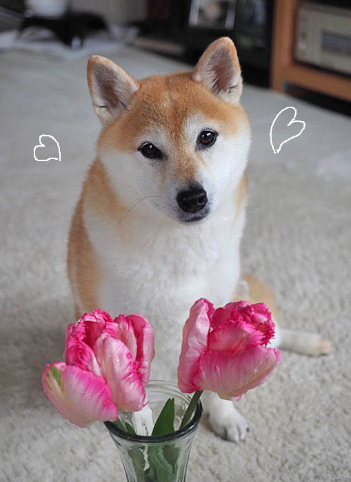 13日ブログ３