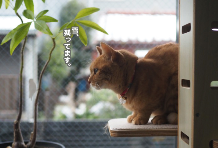 6日夕ブログ２