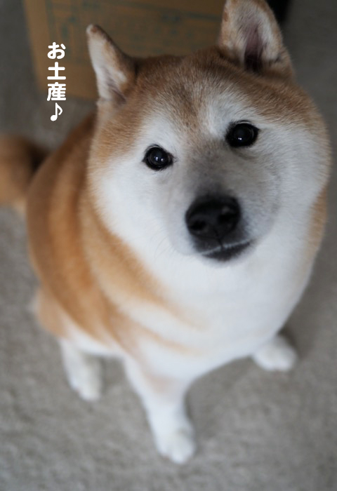 7日夕ブログ８