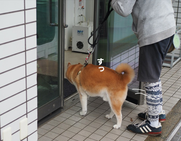21日夕ブログ７