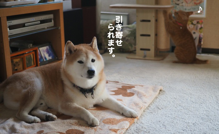 17日ブログ4