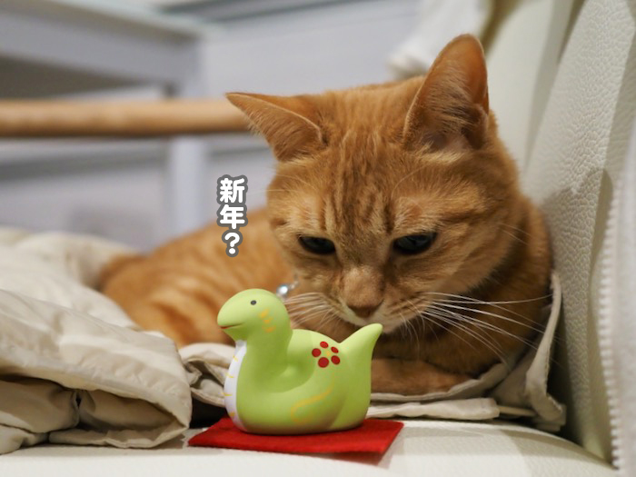 30日夕ブログ７