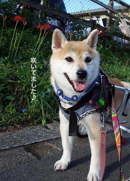 24日ブログ2