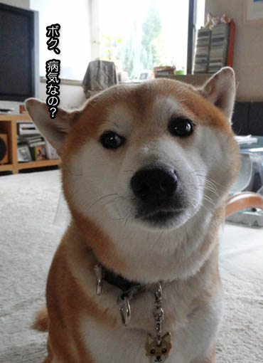 19日ブログ2.jpg