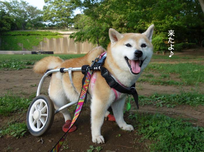 21日ブログ２