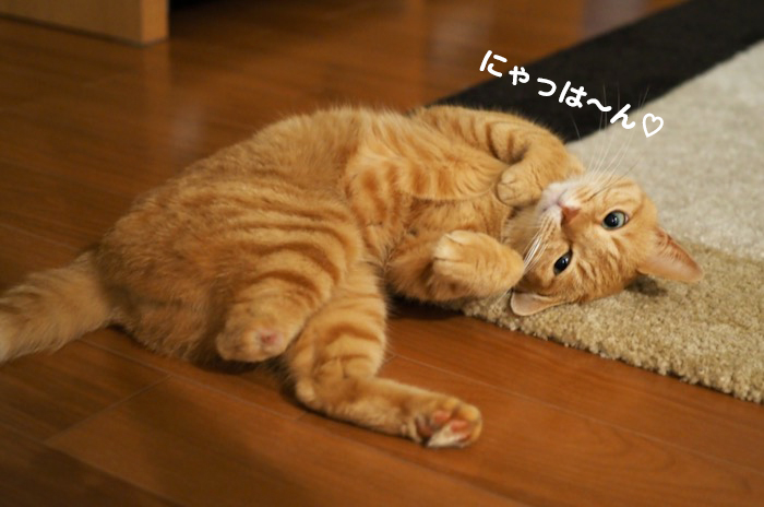 4日夕ブログ２