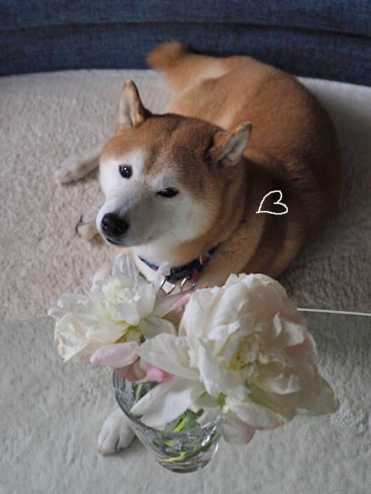 18日ブログ８