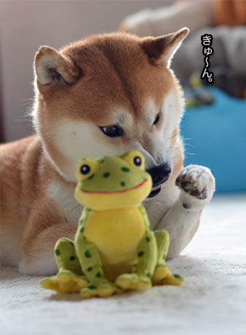 24日ブログ4.jpg