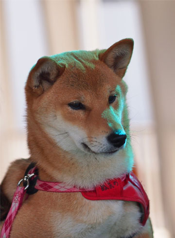 17日ブログ3.jpg