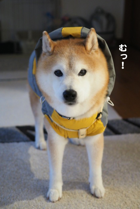 5日夜ブログ３