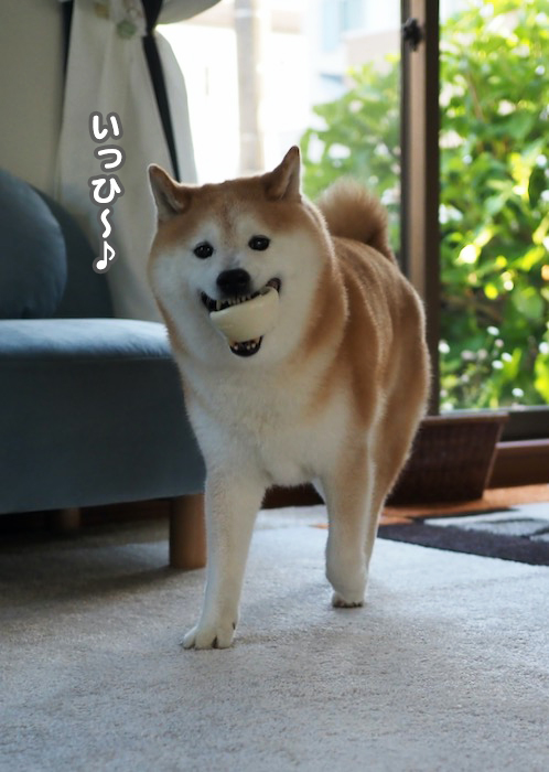 18日夕ブログ４