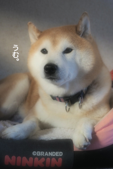 30日夜ブログ５