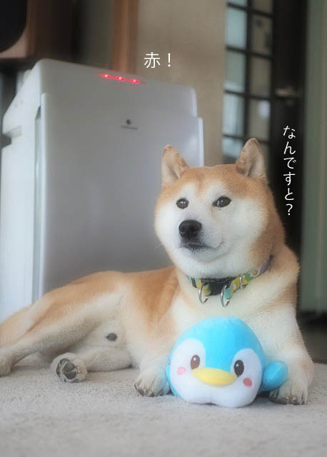 22日ブログ8