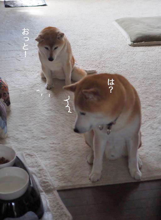 22日夜ブログ６