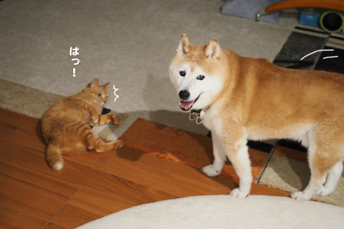 15日夕ブログ２