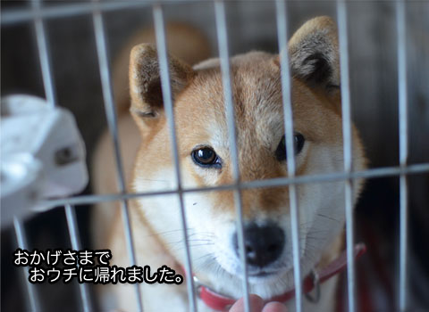 4日ブログ6.jpg