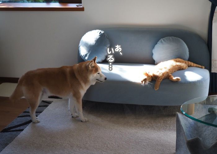 28日夕ブログ４