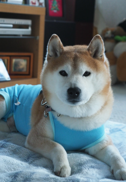 11日夜ブログ１３