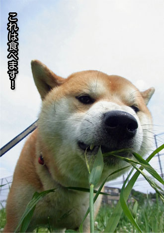 27日ブログ4.jpg