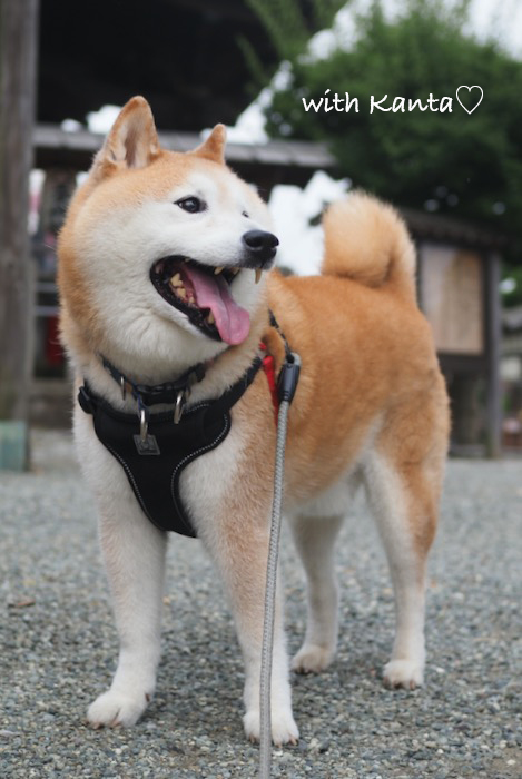 5日夕ブログ５