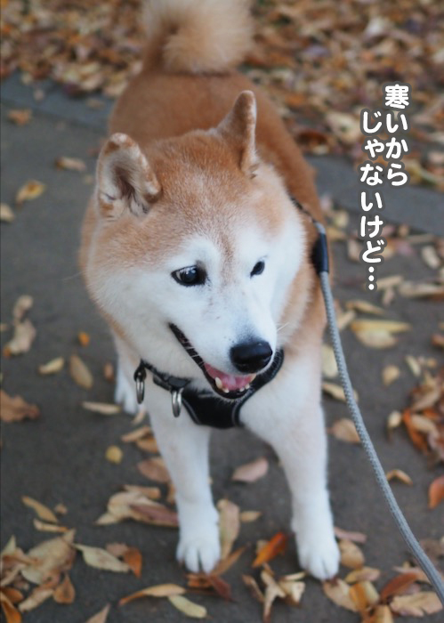 23日夕ブログ３