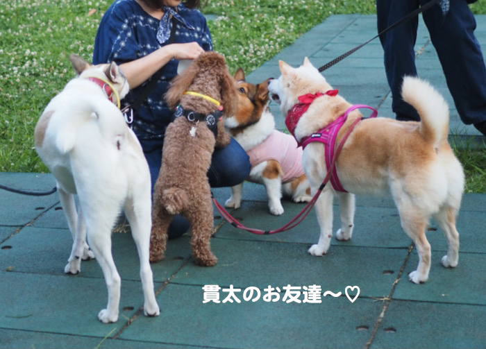8日夕ブログ３