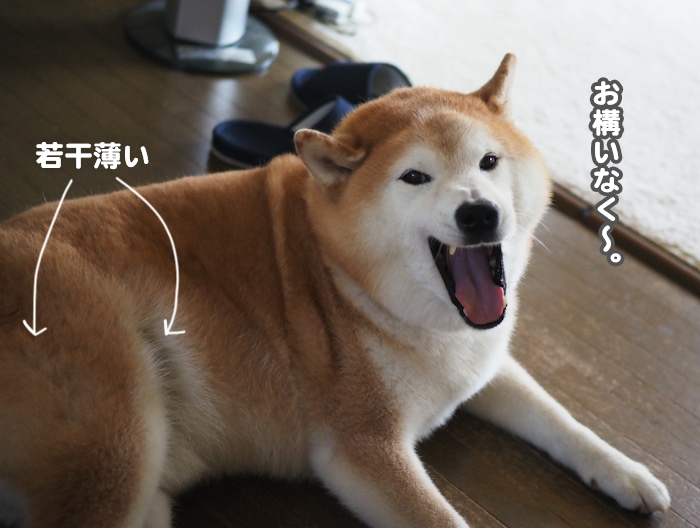 30日ブログ９
