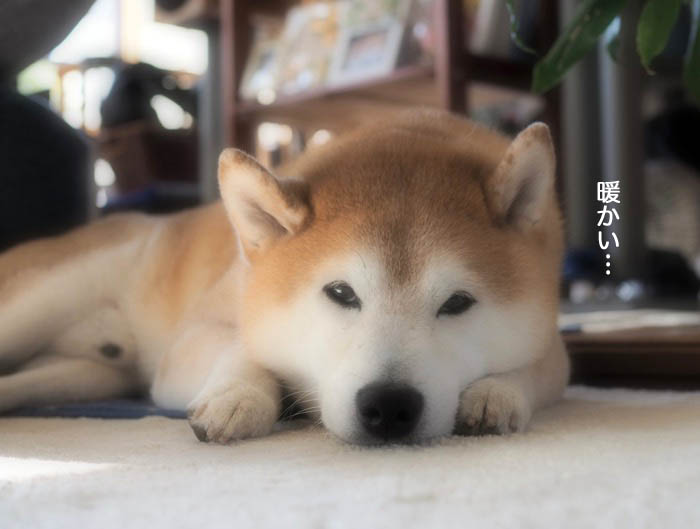 20日夜ブログ１