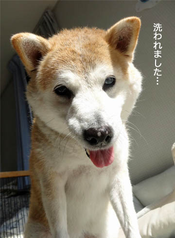 23日ブログ2.jpg