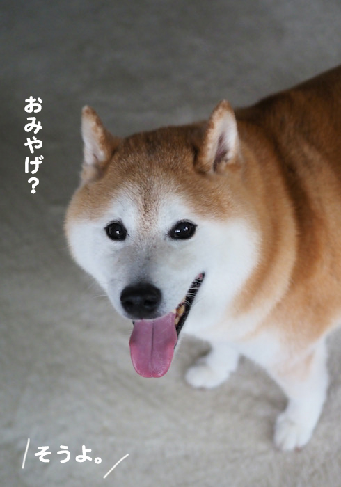 7日夕ブログ３