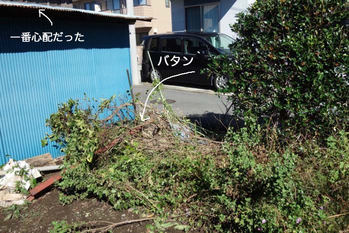 13日ブログ３