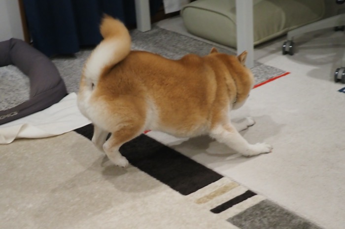 22日夕ブログ１５