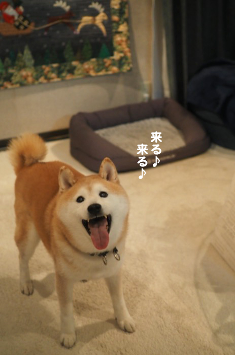 25日夕ブログ１２
