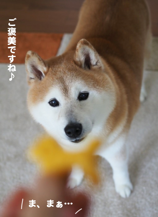 11日ブログ５