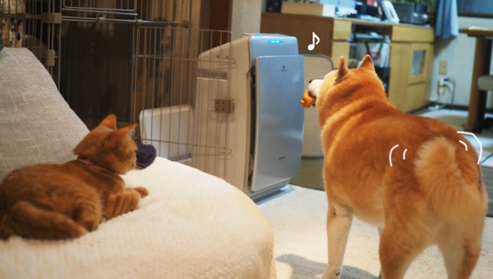 15日夕ブログ３