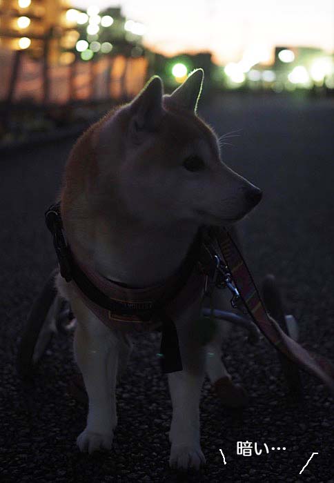 6日ブログ４